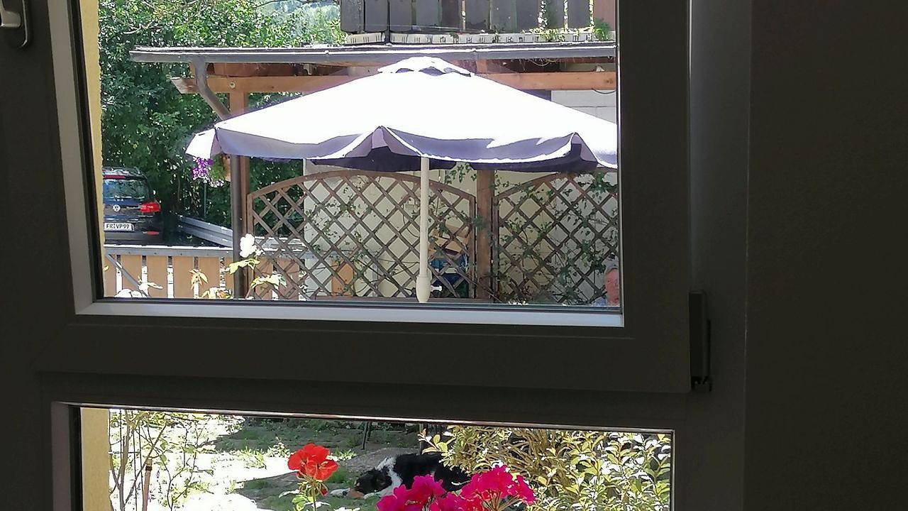 Appartamento intero, Ferienwohnung für 4 Personen (60 m²) in Freiburg im Breisgau in Kappel (Freiburg), Friburgo