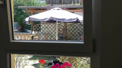 Apartamento para 4 Personas en Suedlicher Schwarzwald, Friburgo, Foto 3