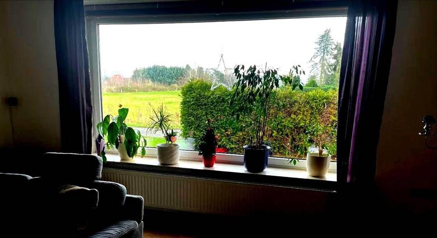 Gîte pour 2 personnes, avec terrasse à Blonay - 4