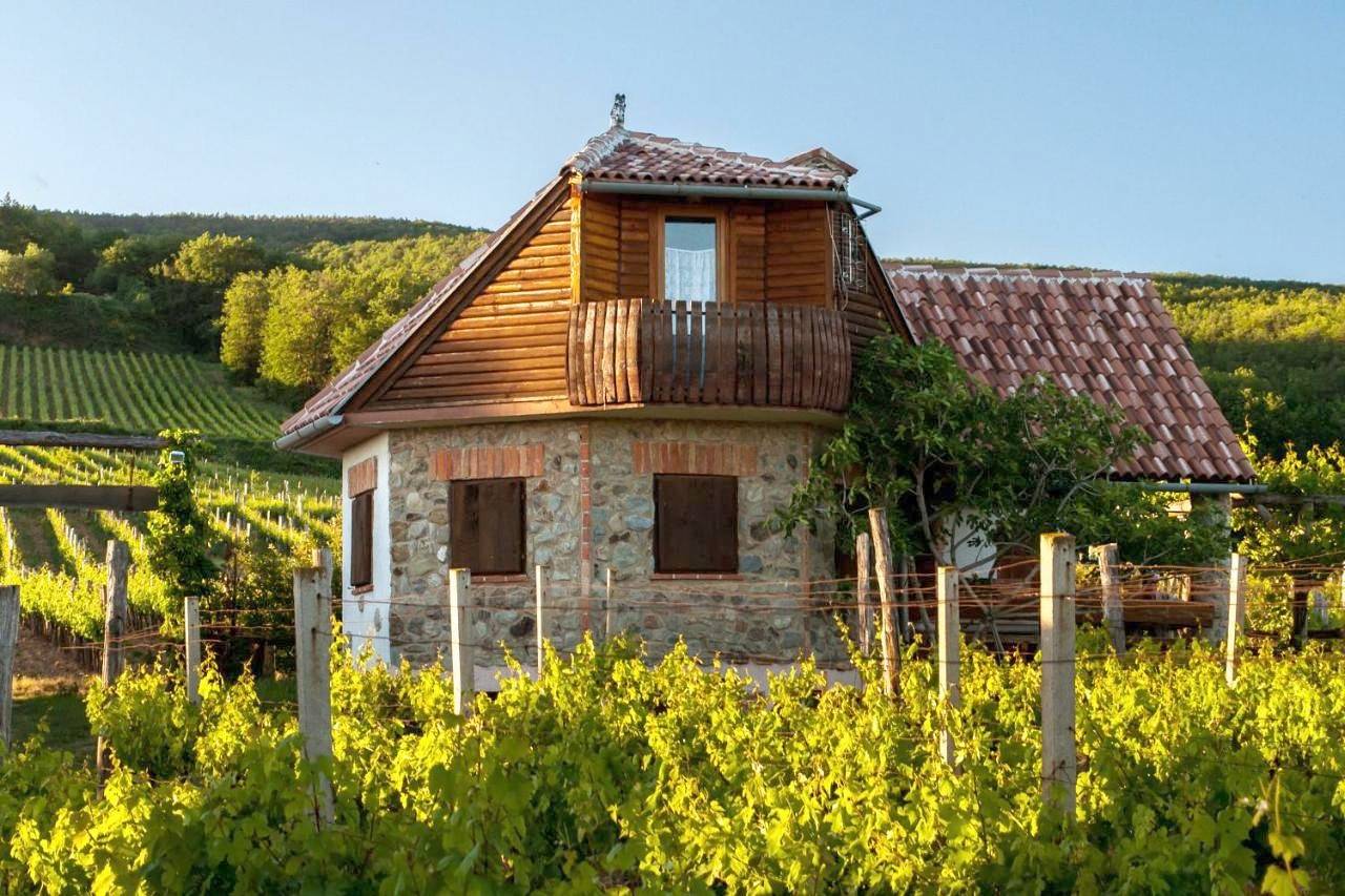 Villa in Pozega-Slawonia