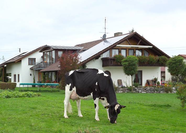 Ganze Ferienwohnung, Stüblehof Markus Mock - Wohnung Delphine in Markdorf, Region Bodensee-Oberschwaben