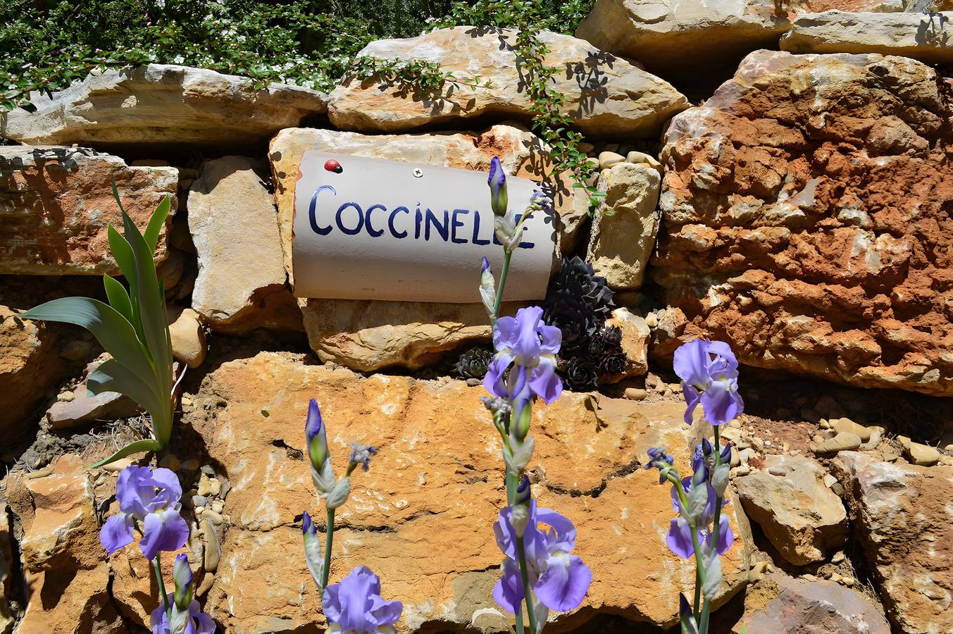 Gîte Coccinelle, Le Petit Paradis Provençal in Allemagne-en-Provence, Parc naturel régional du Verdon