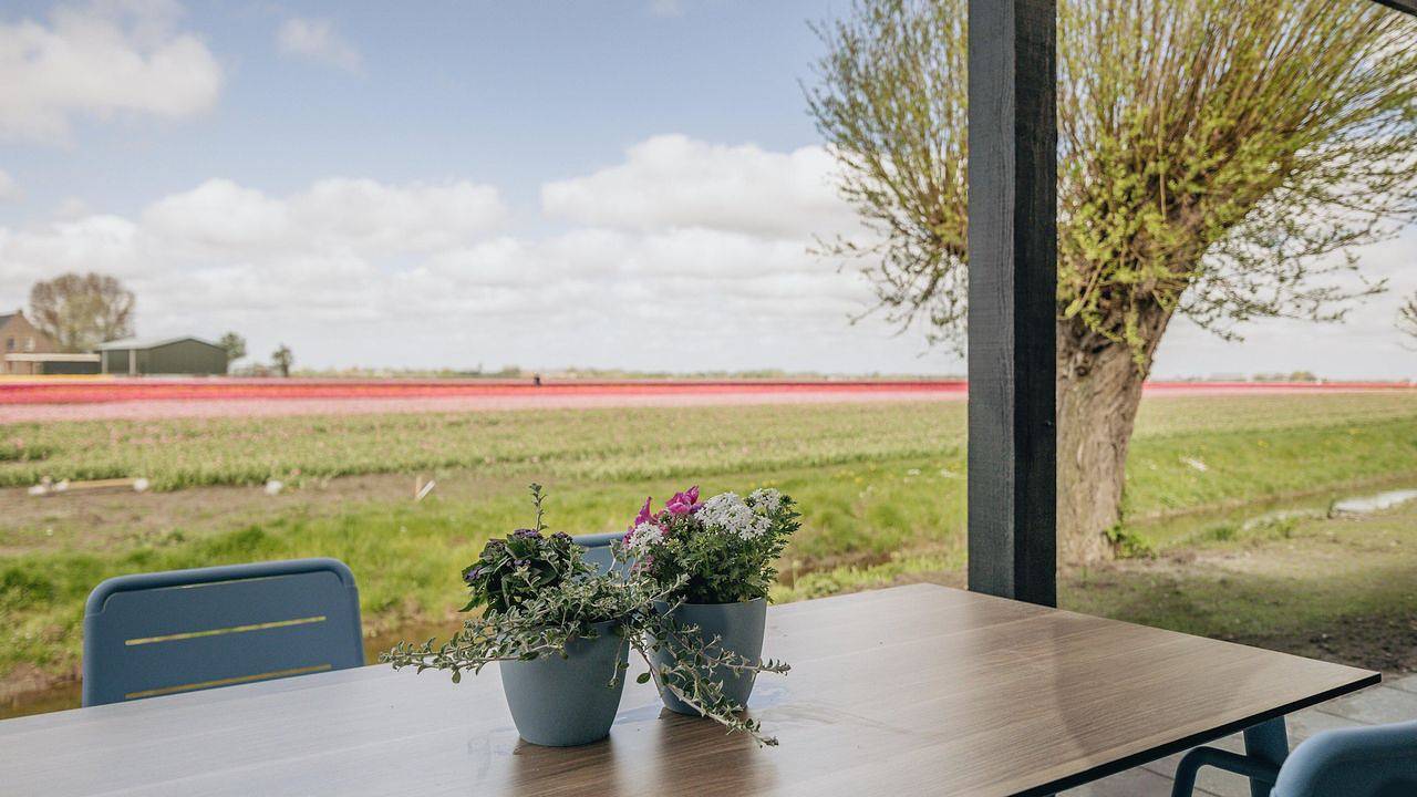 Bungalow für 4 Personen (50 m²) in Wijdenes in Wijdenes, Markermeer