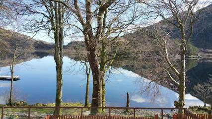 Gîte pour 4 personnes, avec vue ainsi que vue sur le lac et jardin dans Glenfinnan