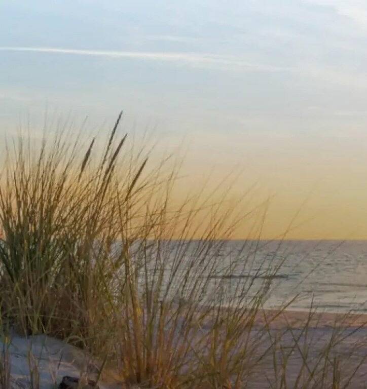 Ganze Wohnung, Life is Better at the Beach in Fort Pierce, Hutchinson Island