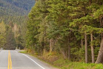 Vacation Apartment for 2 Guests in Anchorage, Alyeska, Picture 2