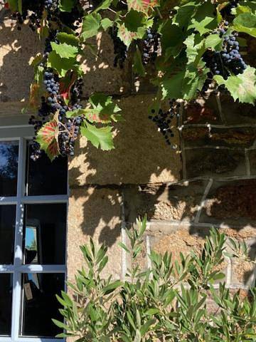 Gîte pour 2 personnes, avec vue et jardin, animaux acceptés à Tramain - 4