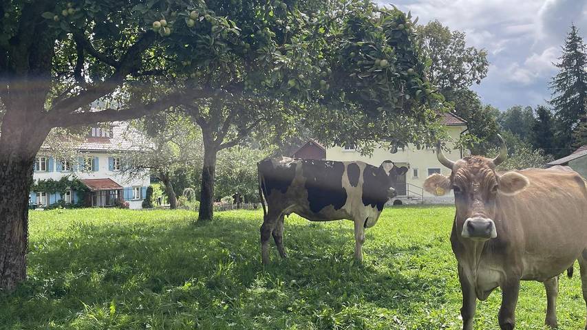 Ferienwohnung für 6 Personen, mit Garten in Isny im Allgäu - 2