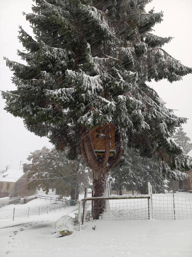 Location de vacances pour 6 personnes, avec terrasse à La Chapelle-d'Andaine - 2