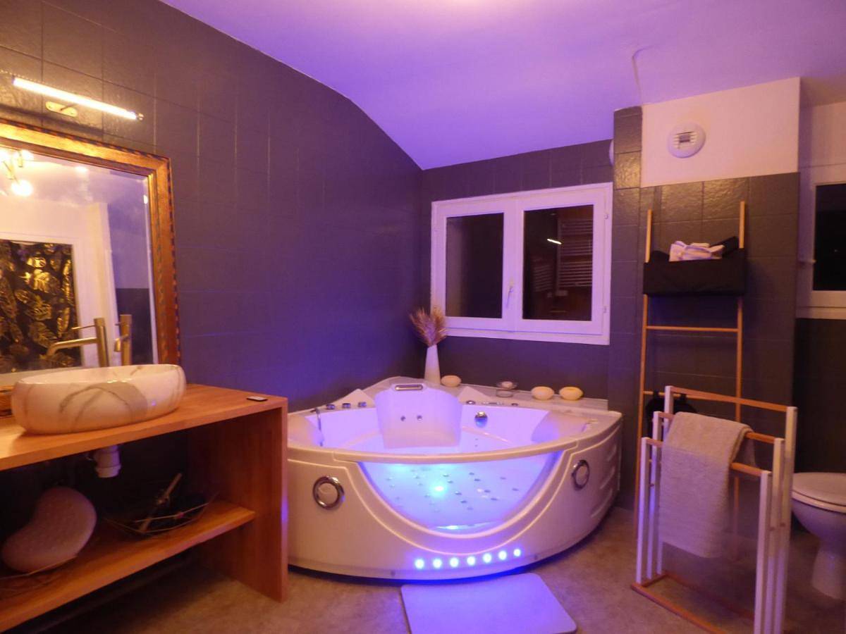 King Room with Spa Bath in Paroisse Saint-Damien-en-Châtelleraudais, Vienne (France)