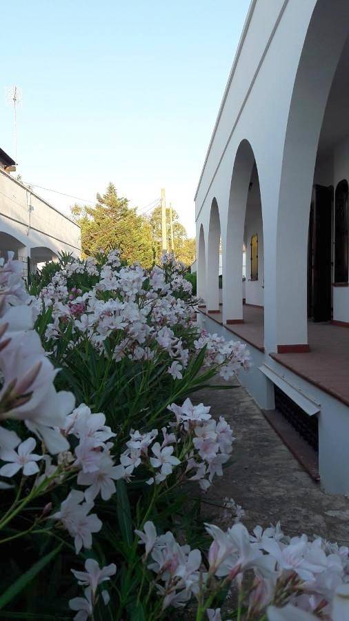 Appartamento per 4 persone, con Balcone e Terrazza a Lido Pizzo