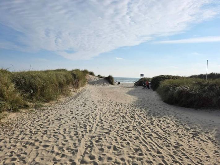 Ferienhaus für 6 Personen, mit Terrasse, mit Haustier in Tirpitz Museum (Oksby) - 2