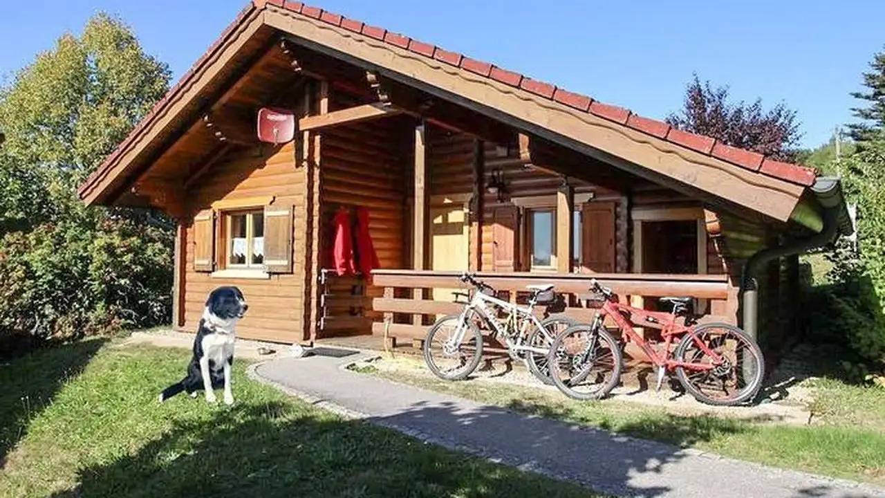 Ferienhaus für 3 Personen (55 m²) in Stamsried in Stamsried, Ostbayern