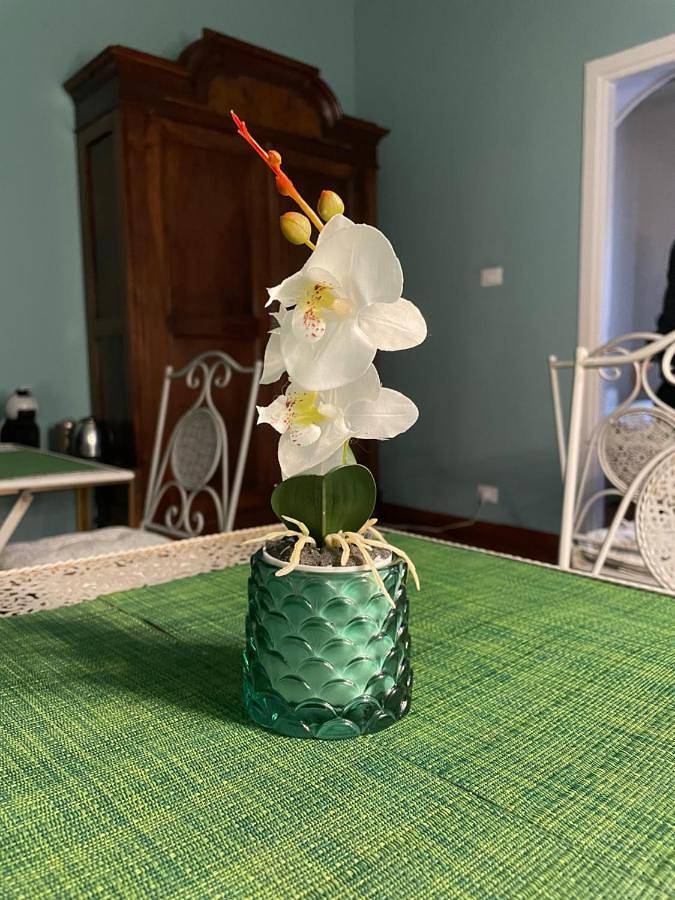 Chambre d’hôte pour 2 personnes, avec jardin à San Remo - 3