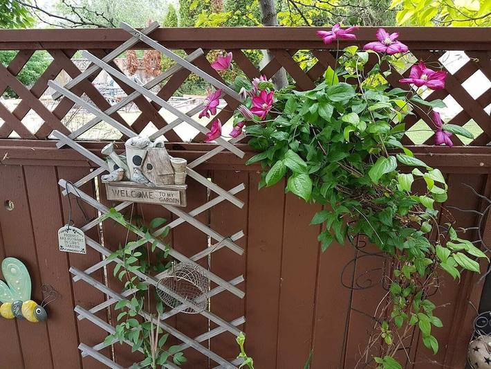 Gîte pour 2 personnes, avec jacuzzi ainsi que terrasse et jardin à Vernon - 2