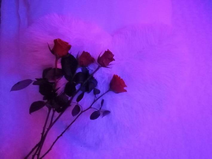 Location de vacances pour 2 personnes, avec jacuzzi ainsi que terrasse et jardin à Saint-Christol-lès-Alès - 3