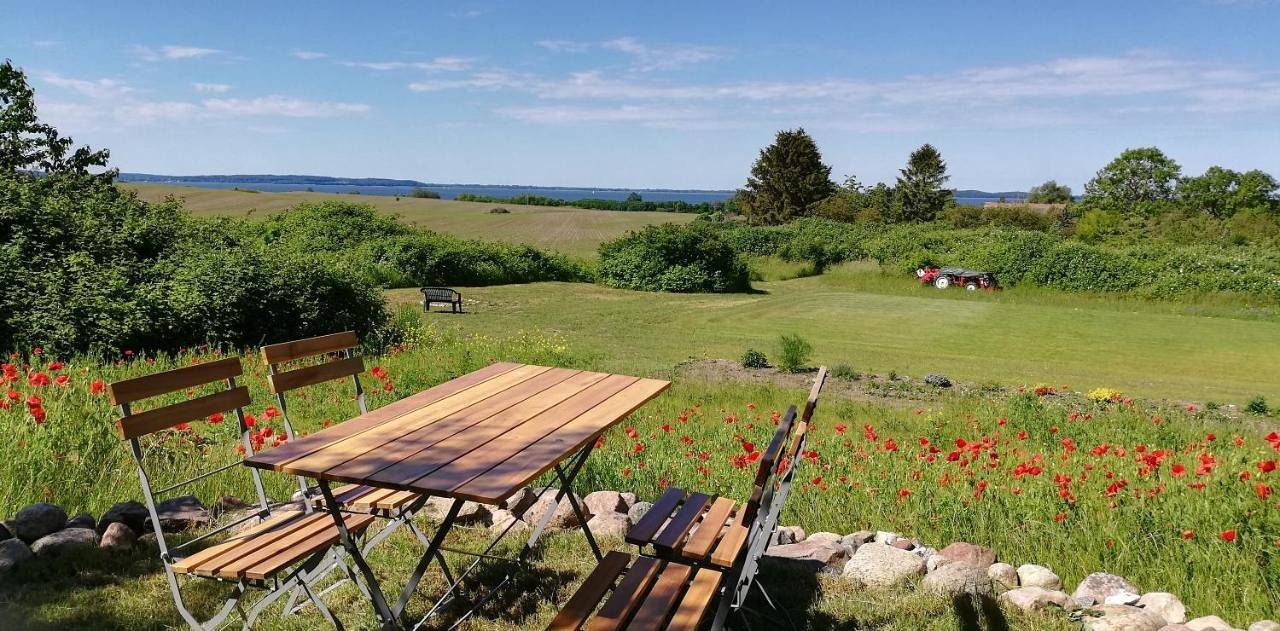 Ganze Wohnung, Drifthof in Polchow, Glowe
