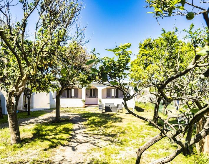 Chambre d’hôte pour 2 personnes, avec jardin à Procida - 2