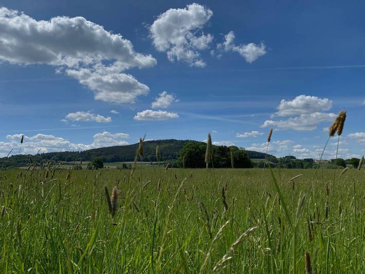 Ganze Ferienwohnung, Naturspiel - Ferienwohnung Vogelsang Eg in Pösing, Ostbayern