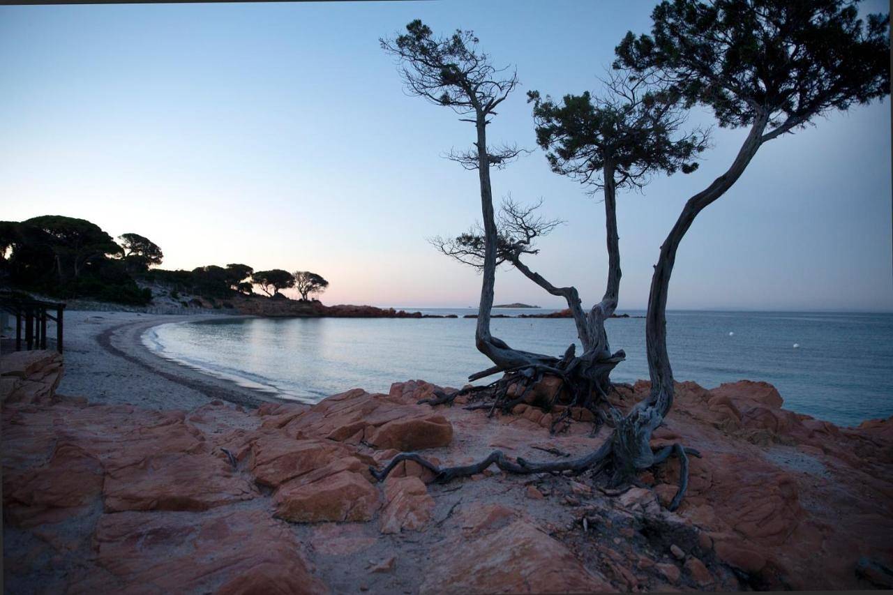 Résidence U Latonu - Palombaggia in Palombaggia, Porto-Vecchio