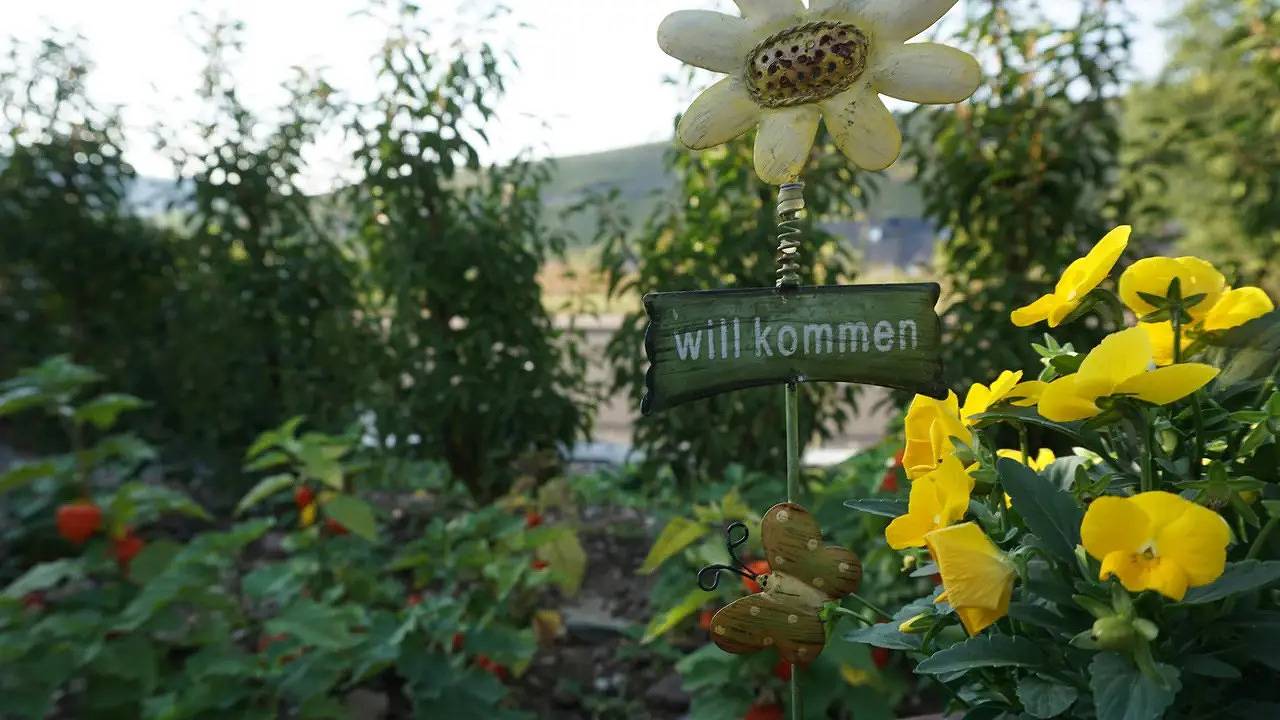 Ganze Ferienwohnung, Ferienwohnung für 2 Personen (35 m²) in Brauneberg in Brauneberg, Bernkastel-Kues & Umgebung