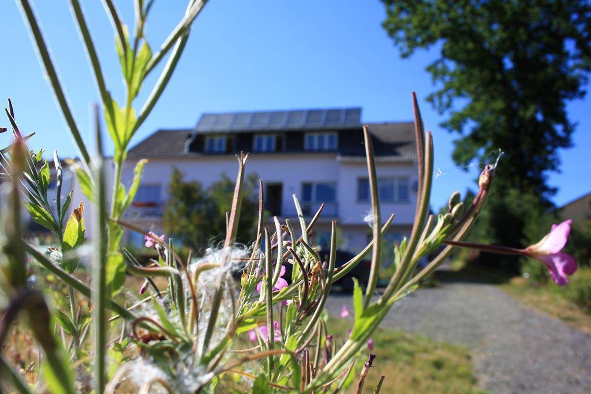 Ganze Ferienwohnung, 2-Bett-Zimmer Ahorn in Flammersfeld, Flammersfeld und Umgebung