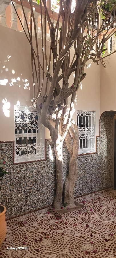 Location de vacances pour 5 personnes, avec balcon et vue à Taghazout (village) - 4