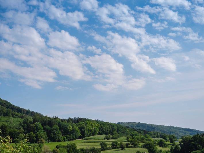Ferienwohnung für 2 Personen, mit Terrasse und Garten in Friesenheim - 3