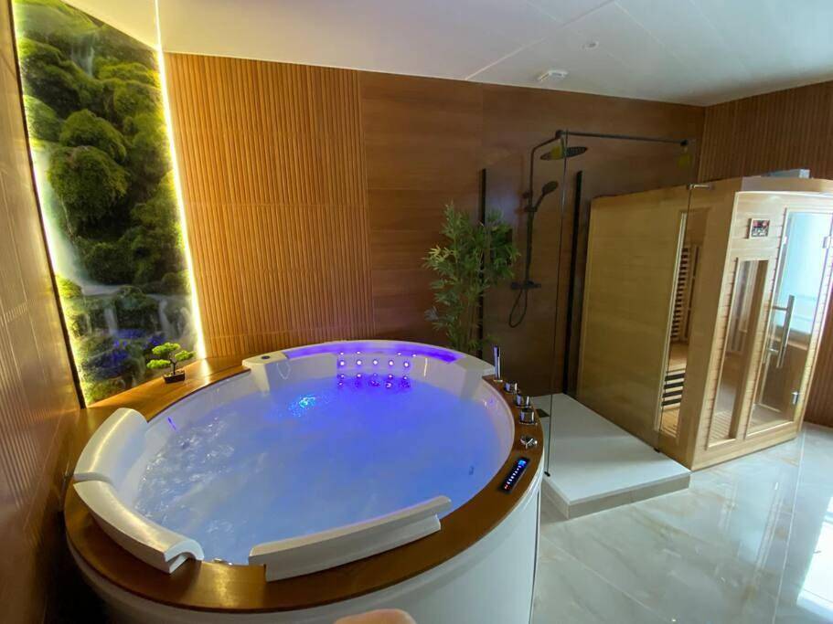 Appartement entier, Esprit Bali ....Love Spa, Sauna de luxe à Mulhouse in Mulhouse, Région de Mulhouse