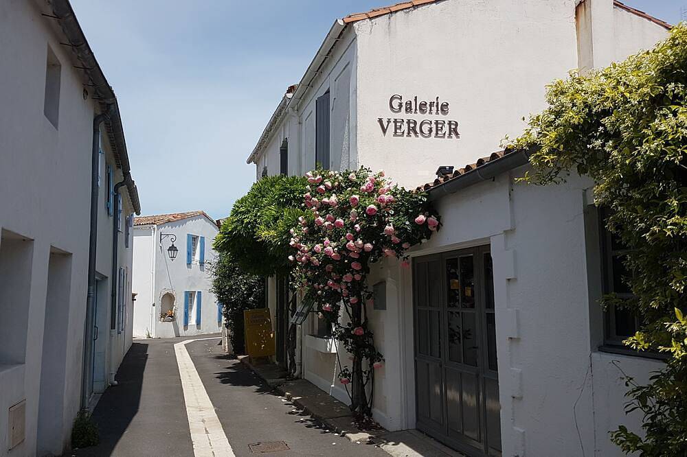 Vos vacances réussies  avec votre famille et votre boule de poil !! in Mornac-sur-Seudre, Côte de Beauté