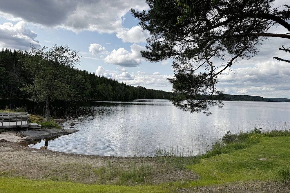 Ruhiges Ferienhaus in Skillingsfors, nahe der Natur |Se18033 in Eda