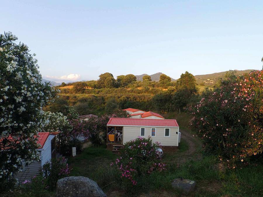Camping Tikiti - Mobilheim 5 personen - Mri - Samstag in Olmeto, Sartène und Umgebung