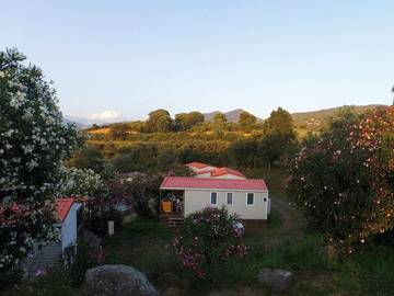Camping voor 5 Personen in Olmeto, Corse-du-Sud, Afbeelding 1