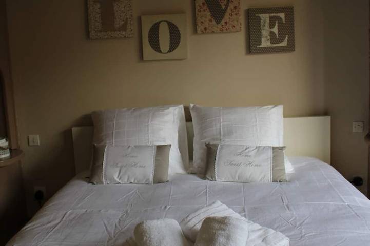 Appartement entier, Gîte meublé de tourisme 170 m2, classé 4*, au calme vue sur rivière in Strasbourg, Région de Strasbourg