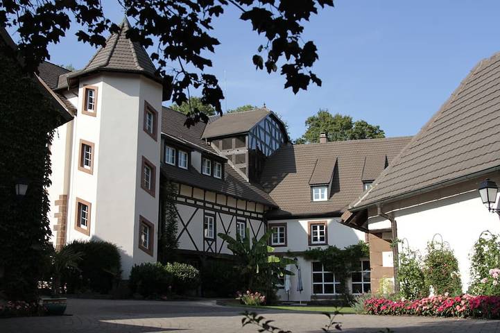 Location de vacances pour 22 personnes, avec jardin à Ingwiller