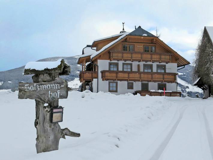 Landhaus für 4 Personen, mit Garten, mit Haustier in Ramsau am Dachstein - 2