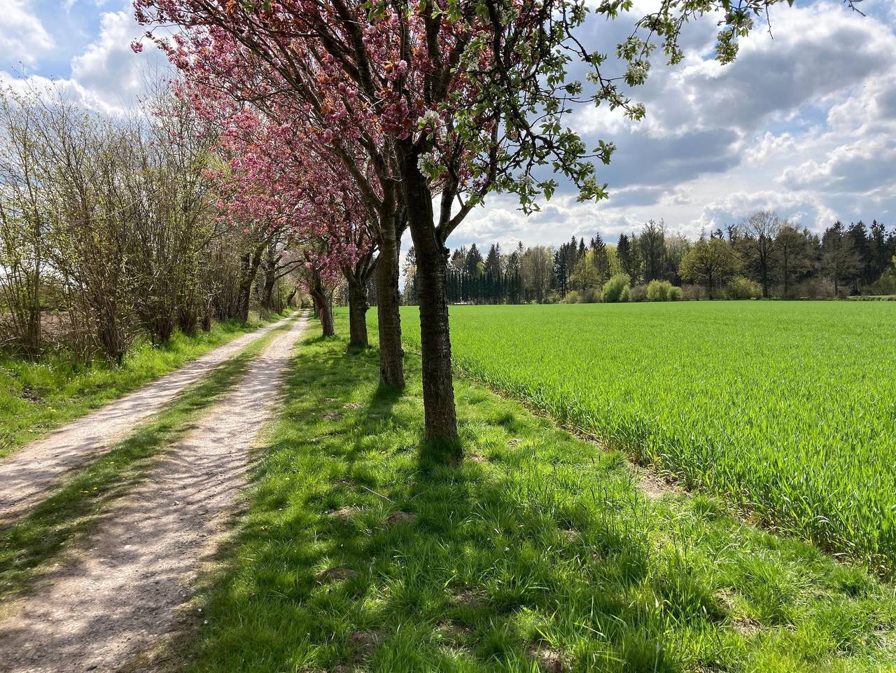 Ferienhaus Leezen in Neversdorf, Kreis Segeberg