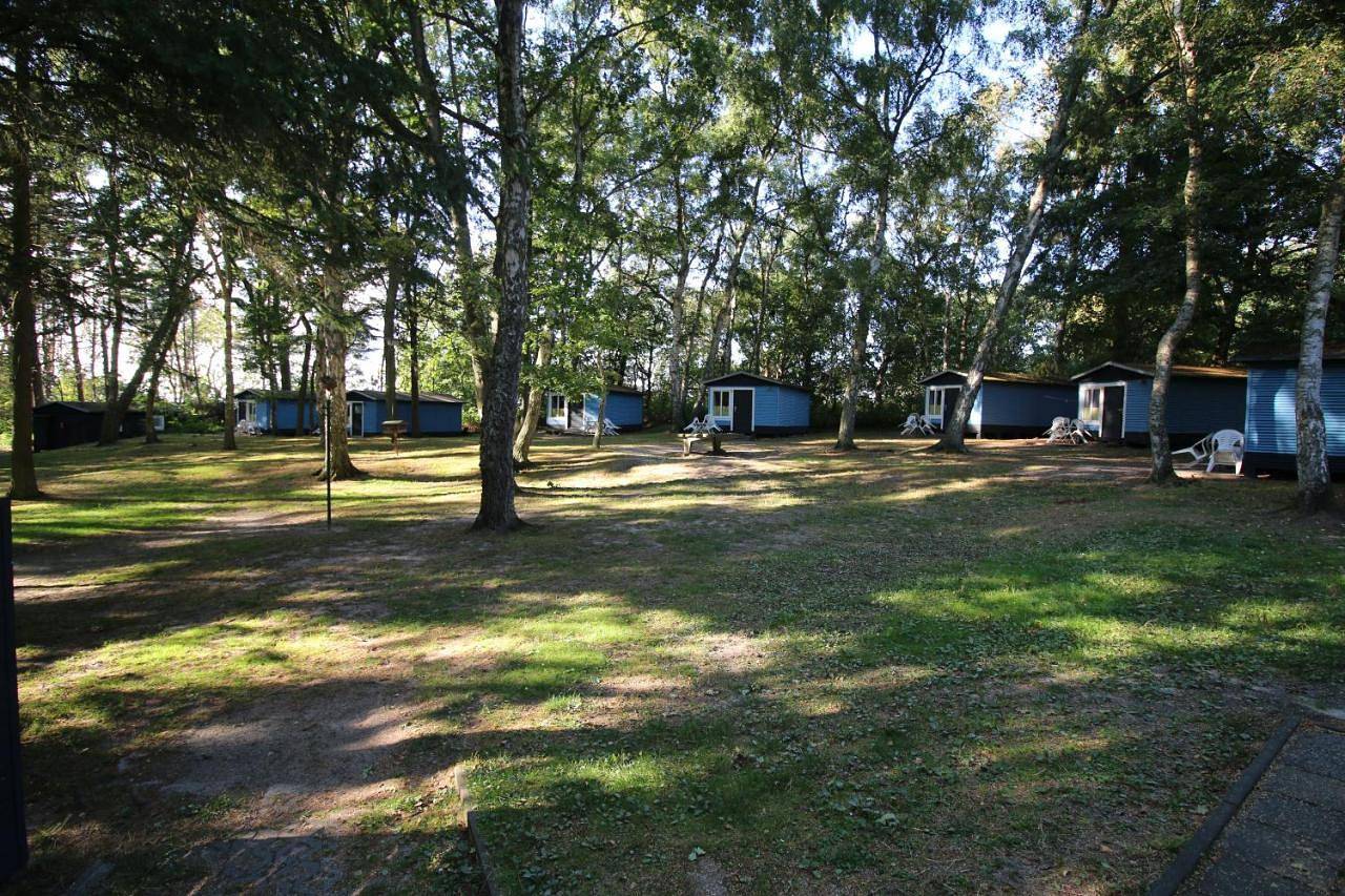 Bungalow Meer Oder Weniger direkt am Strand in Bakenberg, Dranske