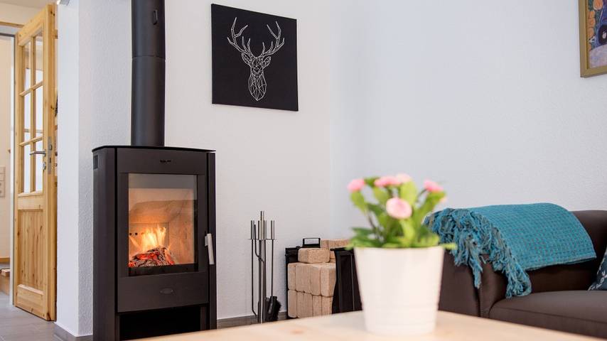 I 1-1 Ferienhäuser Ilsestein Doppelhaus, 100 qm, 3 Schlafzimmer in Ilsenburg, Harzvorland