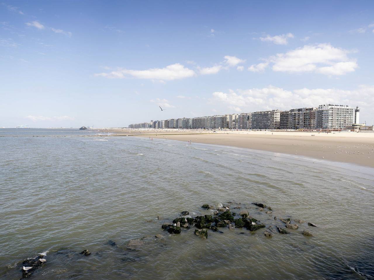 Appartement entier, Ocean Dream With Seaview - Ocean Dream With Seaview 95.1 in Blankenberge, Côte belge