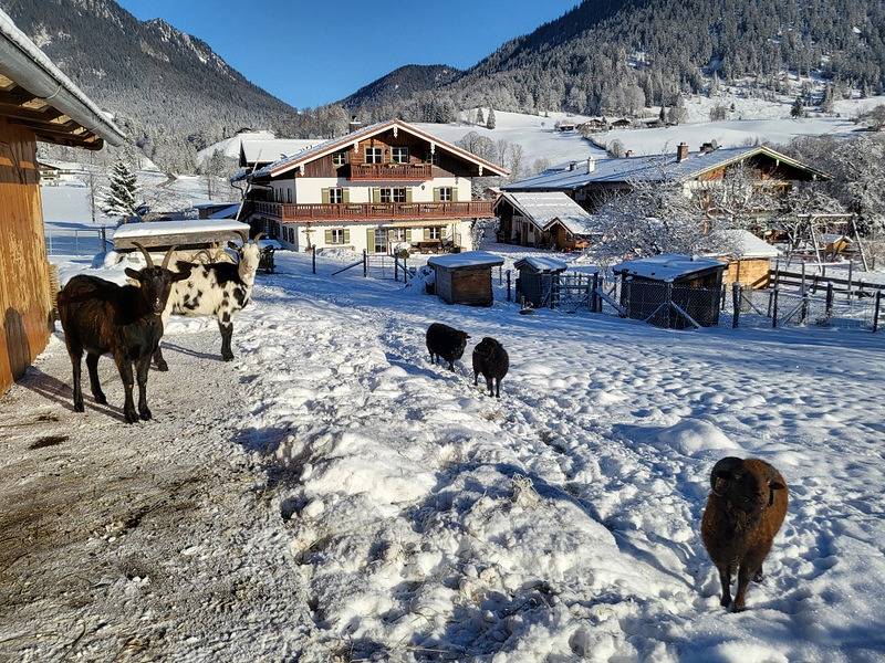 Ganze Ferienwohnung, Gästehaus Hinterponholz - Ferienwohnung Nr. 3, Ostbalkon, W-Lan, 1 Schlafzimmer in Hintersee, Ramsau bei Berchtesgaden