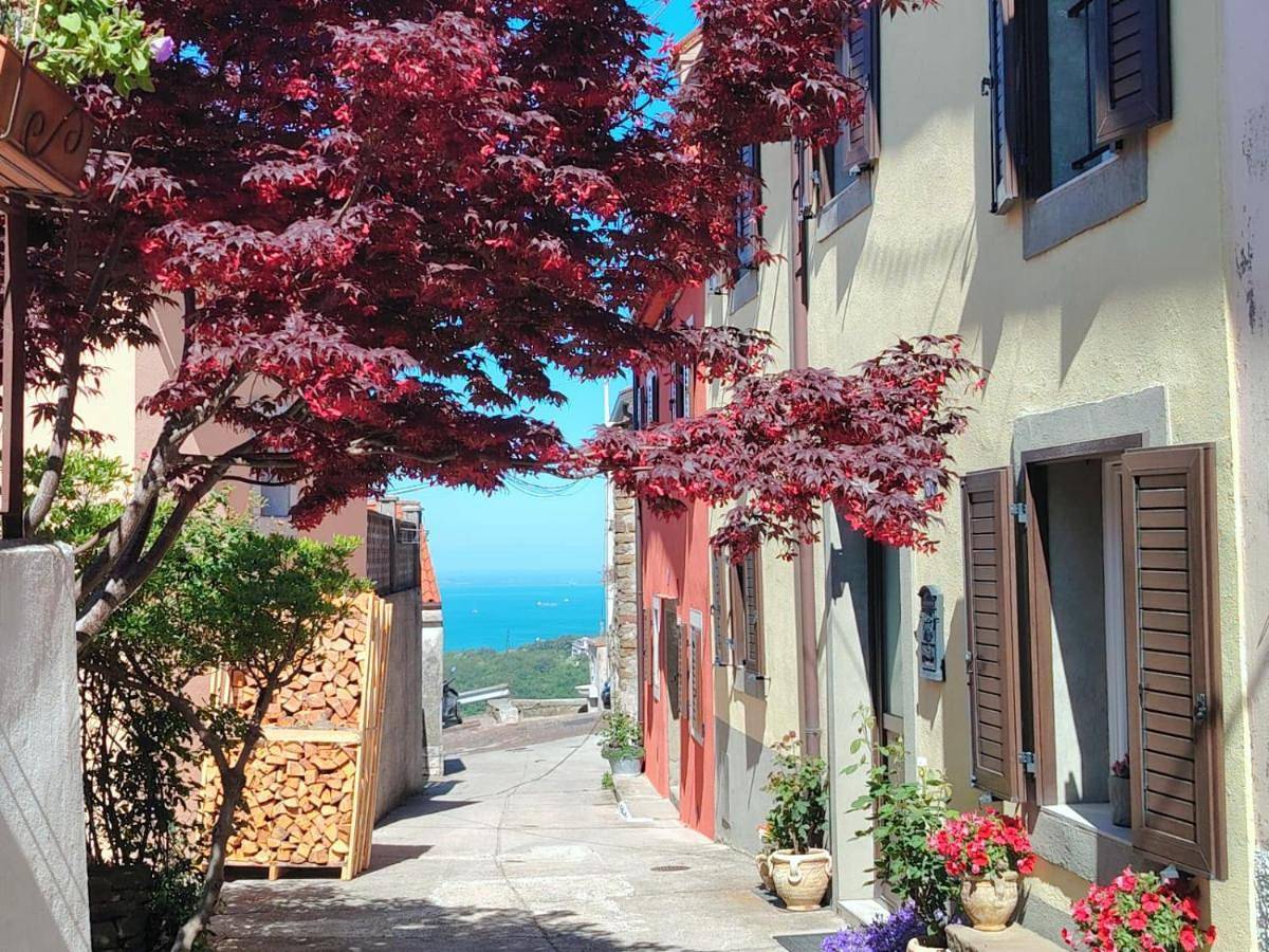 One-Bedroom Villa in Trieste, Trieste Province