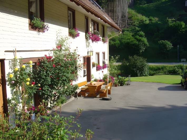 Ferienwohnung für 2 Personen, mit Garten im Südschwarzwald - 2
