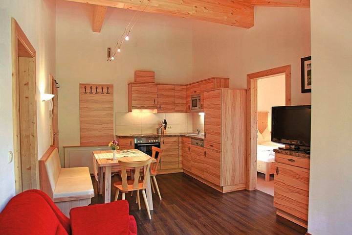 Ganze Ferienwohnung, Appartement 3 in Hohe Tauern, Großarl