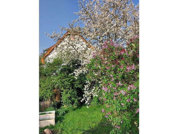 Ferienwohnung mit 2 Schlafzimmer in Bad Camberg, Landkreis Limburg-Weilburg