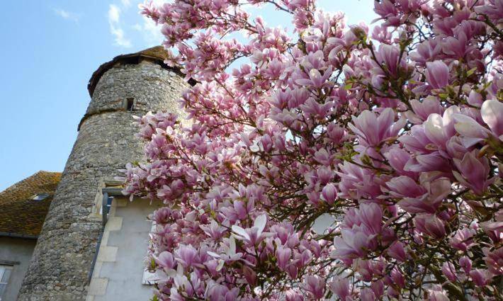 Gîte pour 3 personnes, avec jardin à Chantenay-Saint-Imbert - 2