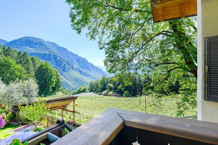 Room 'Rienznerhof Morgensonne 1' with Mountain View, Shared Terrace & Wi-Fi in Gleno, Montan