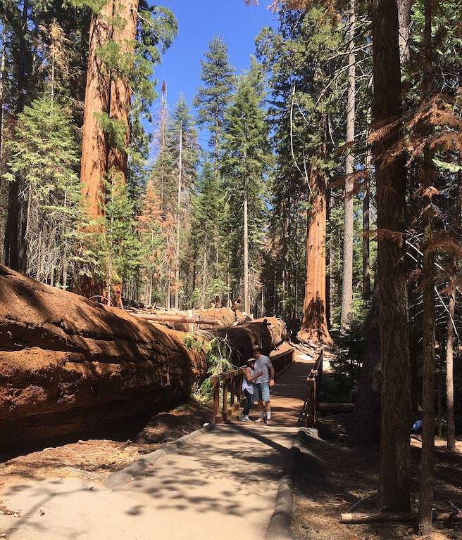 Vacation rental for 10 people, with balcony and yard in Northern California