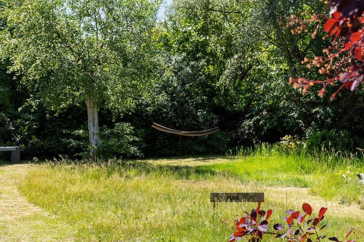Ferienhaus für 8 Personen, mit Terrasse und Garten, mit Haustier an der Kattegat Küste - 4