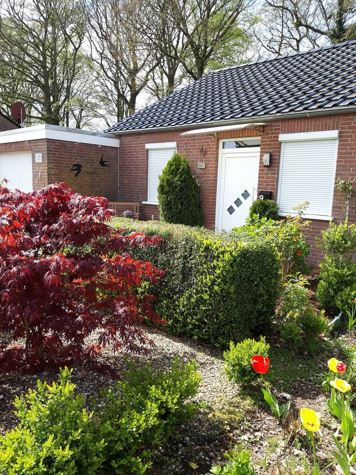 Ferienhaus für 4 Personen, mit Terrasse und Garten sowie Sauna in Berumbur